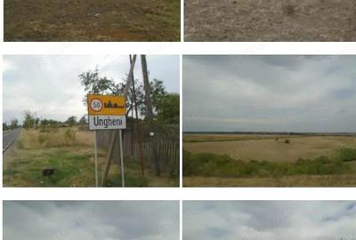 Teren extravilan 5000 mp, Com Ungheni, Jud Arges - 1