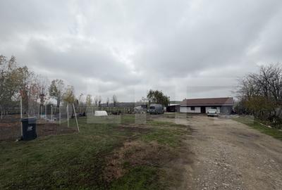 Teren intravilan agricol, sere, anexa agricola, 11500 mp ter - 3