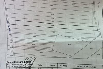 Spațiu comercial, în Dârvari - 2