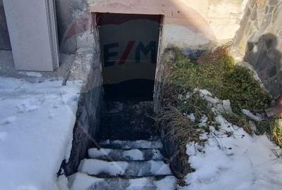 Casă cu 4 camere cu Teren 3657 Mp în Buzești - 34