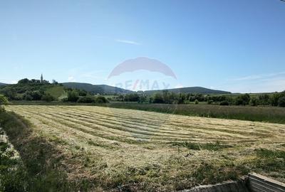 Teren de vanzare Blajel, jud. Sibiu | 15.360 mp - p... - 4