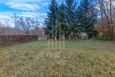 Teren de vanzare in reprezentare exclusiva, situat pe Valea Avrigului! - 2