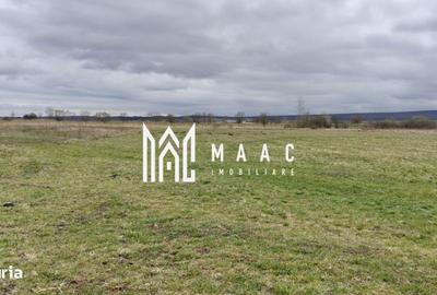 Spațiu comercial, în Cristian - 3