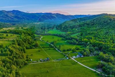 Teren agricol extravilan de 3352 mp, în Șinca Nouă - 11