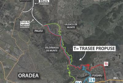 Teren de 3000 mp, în Săldăbagiu de Munte - 9