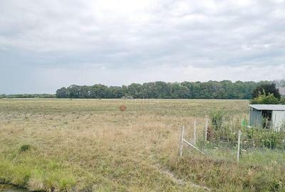 Teren Extravilan - 14