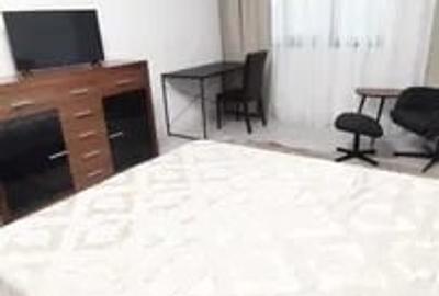 Apartament 1 camera, PET FRIENDLY, LOC PARCARE INCLUS,  zona Galata Apartament 1 camera, PET FRIENDLY, LOC PARCARE INCLUS,  zona Galata - 3