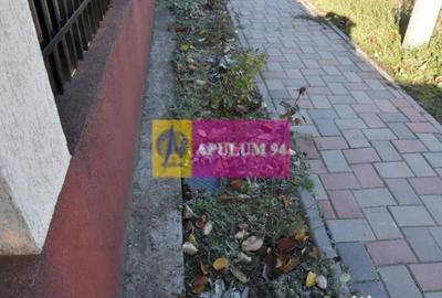 Casă cu 4 camere cu Teren 500 Mp în Copăceni - 12