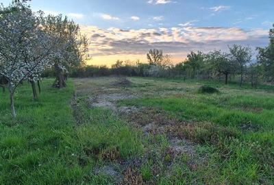 Casă cu 3 camere cu Teren 1900 Mp în Central