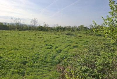 Teren de 2350 mp, în Sacoșu Mare - 5