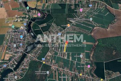 Teren Construcții intravilan de 10000 mp, în Balotești - 3