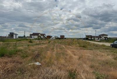 Teren 10.000 mp - Str. Octavian Goga, Craiovei! - 3