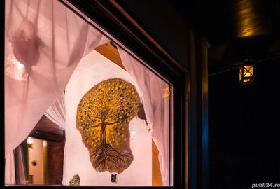 Tiny House Romanesc - 1