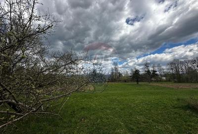 Teren Construcții intravilan de 5097 mp, în Dumbrăvița - 4