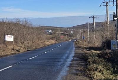 Teren Construcții intravilan de 15000 mp, în Poiana (Schitu Duca) - 4