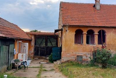 Casa 3 camere suprafata utila 80mp,si teren 960mp, spre vanzare in Sacel - 14
