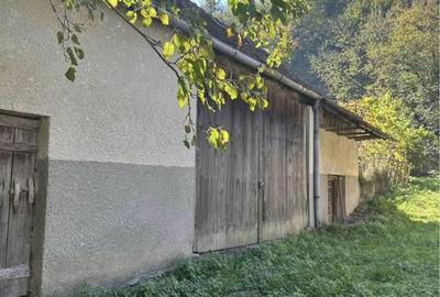 Casă cu Teren 1600 Mp în Romos - 4