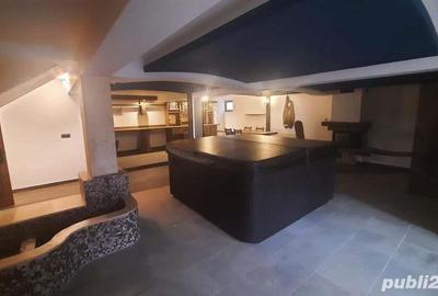 Loc. Unguras (jud, MM) - proprietate deosebita - 5