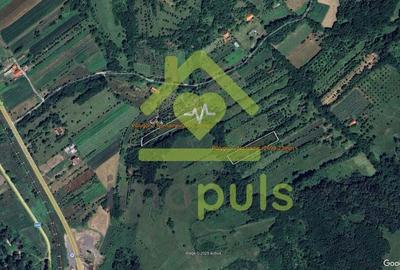 ? Teren extravilan in Mehadia - 2,78 euro/1 mp. Comision 0% .? - 1