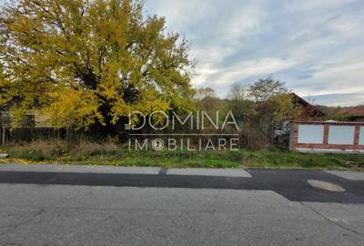 Teren intravilan, 4967 mp, utilita?i, sat Rasova, Bale? - 7