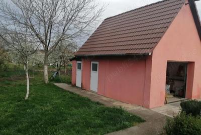 Casă cu Teren 700 Mp în Micălaca - 6