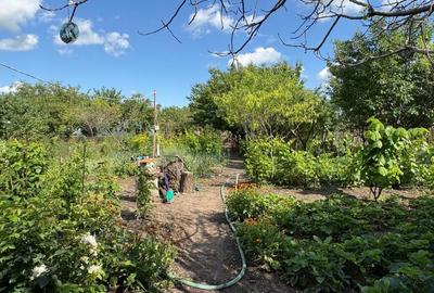 Casă cu 4 camere în Central - 1