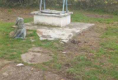 Casa de vanzare in slava rusa - 1