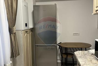 Garsonieră în Humulești - 5