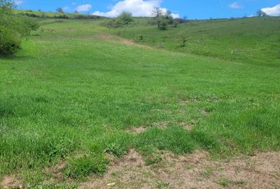 Teren de 2200 mp, în Sânpaul - 3