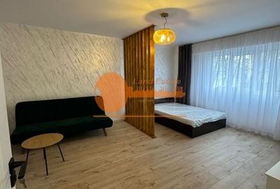 Studio Lujerului-Virtutii ( 1 minut tramvai- 8 minute metrou ) - 6