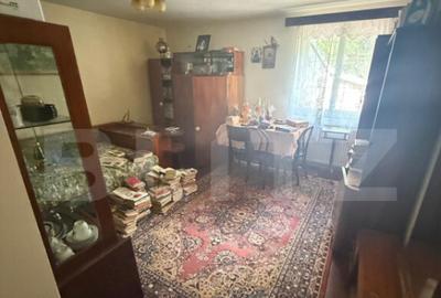 Casa cu etaj, 160 mp utili, 1352 mp teren, zona Burdujeni - 19