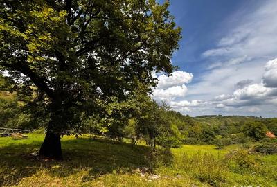 Casa de vanzare + 30.000 m teren Casa de vanzare + 30.000 m teren - 2
