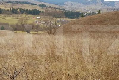 Teren de 50000 mp, în Central - 2