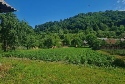 Casă în Săliște - 5