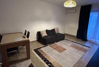 Apartament cu 2 camere decomandat, mobilat în Colentina - 8