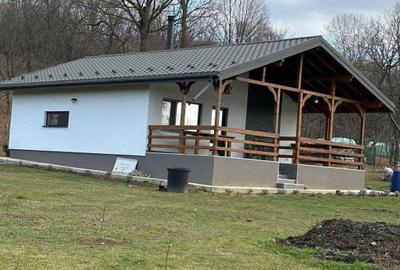 Casă cu 4 camere cu Teren 1710 Mp în Podul Corbului - 8