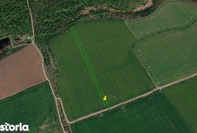 Teren de 7770 mp, în Snagov - 1