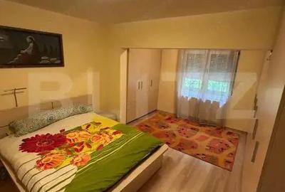 Proprietate de vanzare, 220 mp si 70 mp, zona Lipovei! - 12