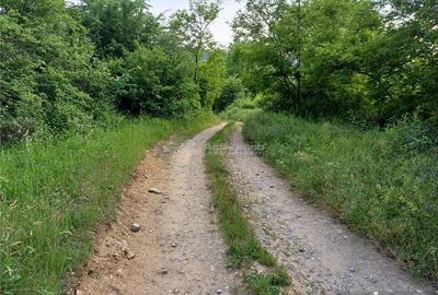 Resita, Teren Drept Intravilan, 11510 Mp., 4 Euro Mp., Valea Terovei - 9