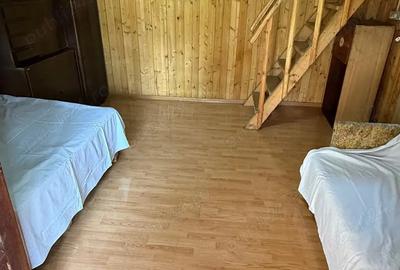 Cabana la Dunare, Liubcova, nr 475A, Caras-Severin - 3