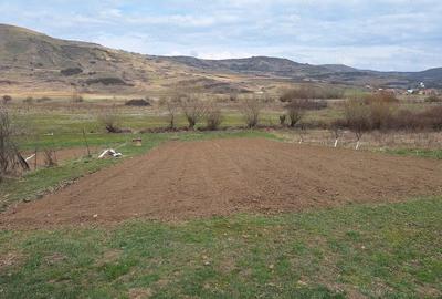 Casă cu 2 camere cu Teren 1600 Mp în Bidiu - 1