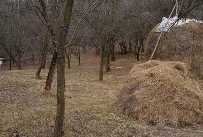 Spațiu comercial, în Central - 1