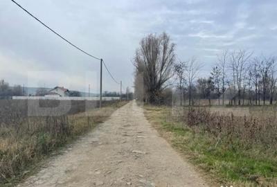 Teren de 5792 mp, în Popoveni - 3