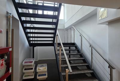 Piata 1 Mai spatiu demisol 475 mp - 29