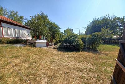 Casa Giurgiu- Ghimpati Sat Bila Casa Giurgiu- Ghimpati Sat Bila - 7