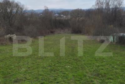 Teren intravilan 3000mp ,sat Plopu, Prahova - 4