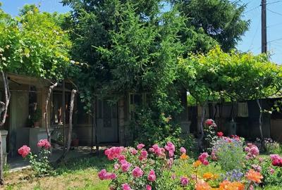 Casă cu 4 camere cu Teren 750 Mp în Chercea - 7
