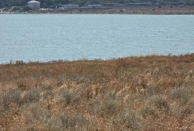 Anunturi vanzari terenuri in Tuzla - 7