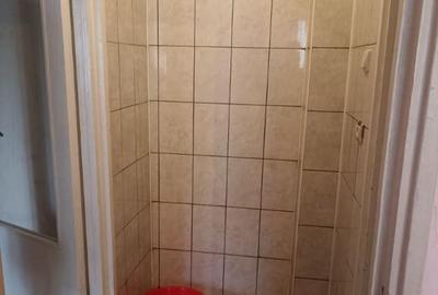 De vanzare apartament cu 2 camere in Sfantu Gheorghe - 6