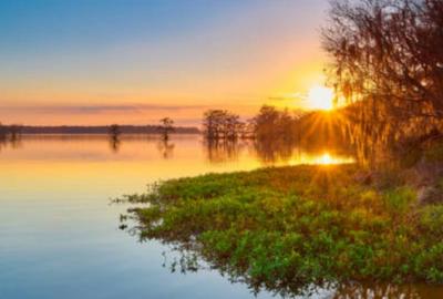 SISESTI teren.  5000mp iesire la LAC - 1